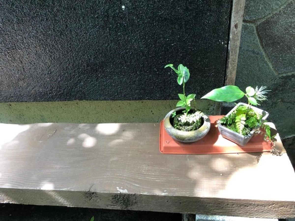 Chambre Dhote Tatami Suwa  Exterior foto
